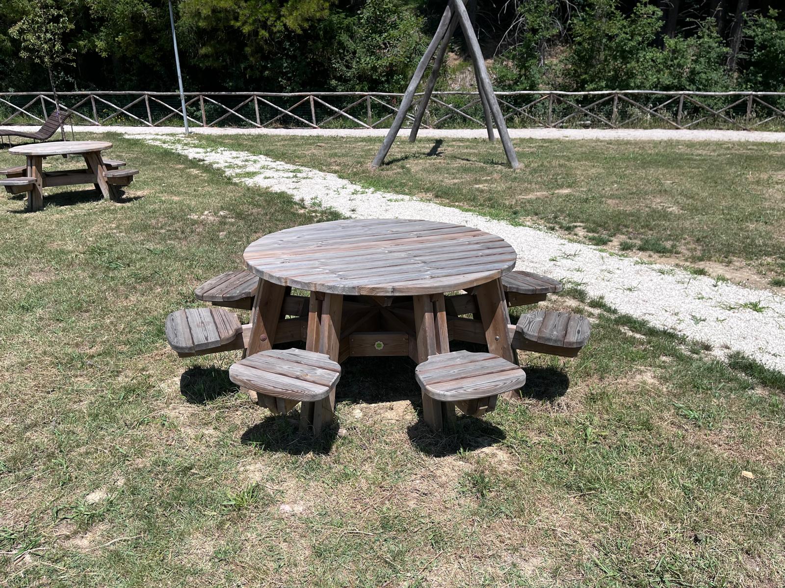 Area Picnic